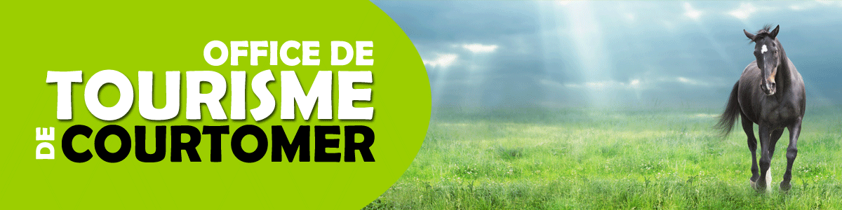 0-accueil-1200x300px